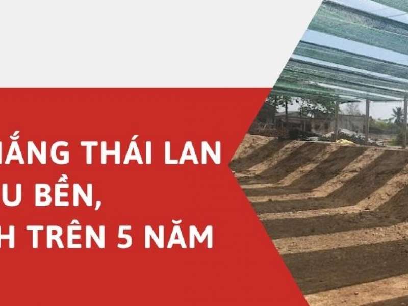 Lưới Che Nắng Thái Lan - Nhập Khẩu, Siêu Bền