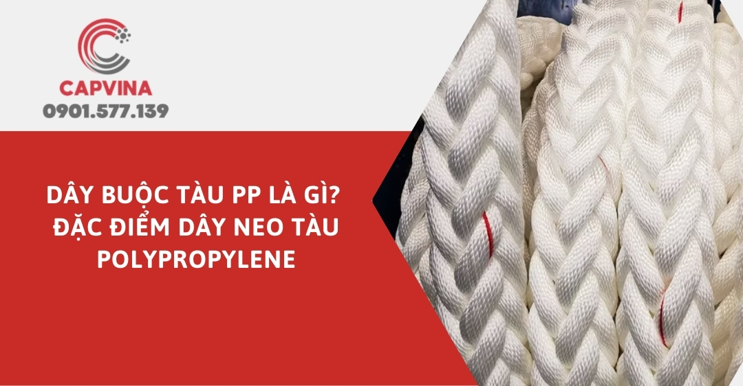 Dây buộc tàu PP là gì? Đặc điểm dây neo tàu polypropylene